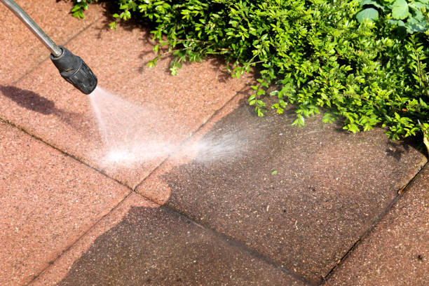 Best Commercial Pressure Washing  in South Haven, IN